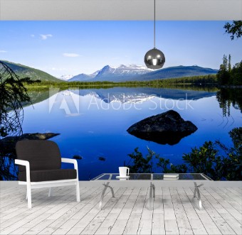 Picture of Storfjllet National Park Sweden Norrland Lapland